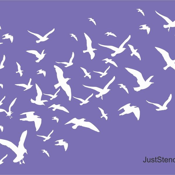 Birds