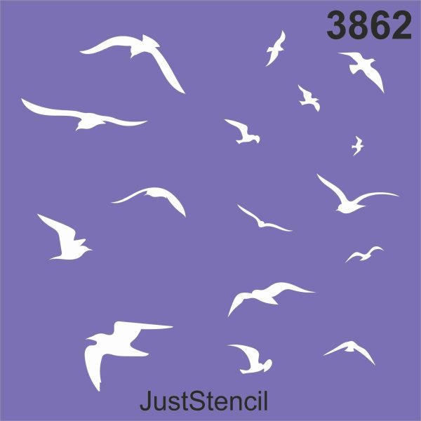 Birds