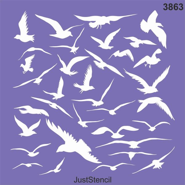 Birds
