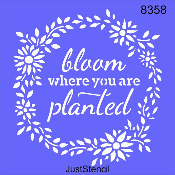 Bloom